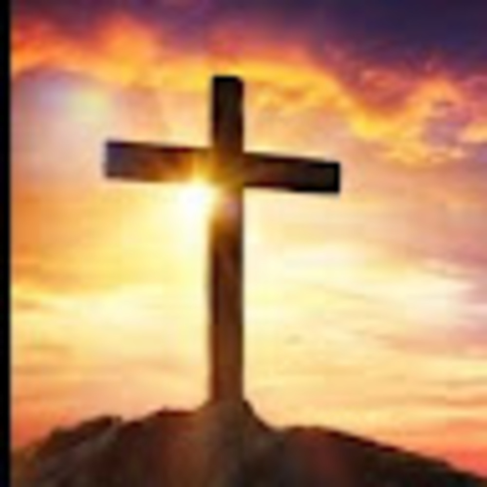 Meet your Posher, Wally